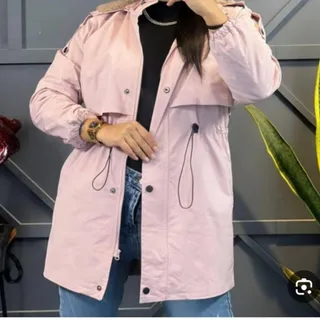 پاییزه میکرو