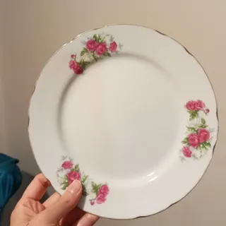 بشقاب گل سرخی ژاپن