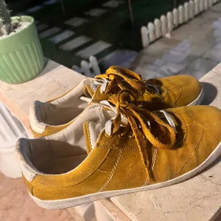 اسنیکز پول اند بیر