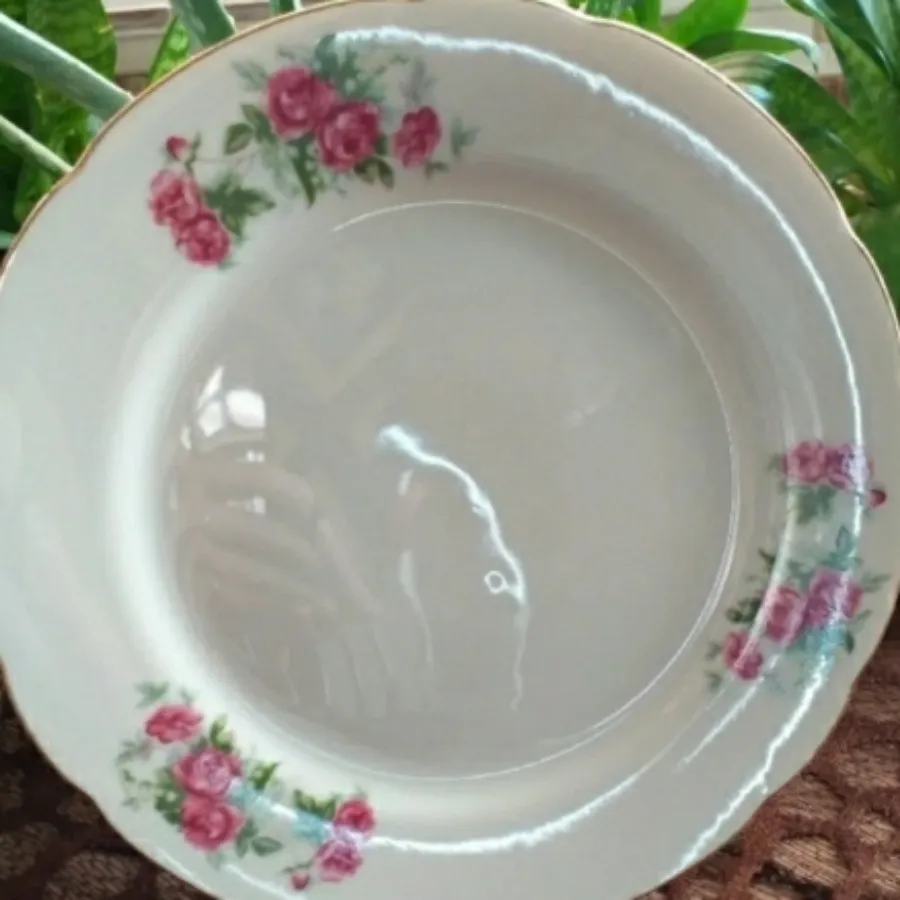 بشقاب گل قرمز قدیمی