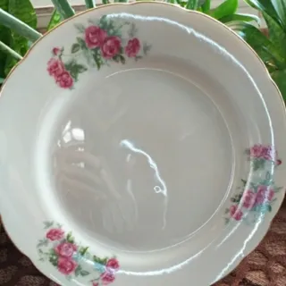 پلو خوری گل قرمز