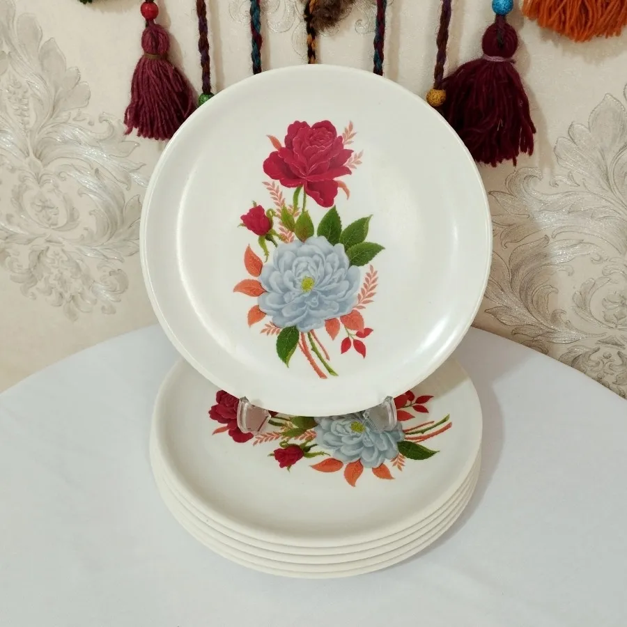 پلوخوری ملامین