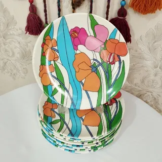 پلوخوری ملامین