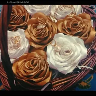 گل روبانی (3.4روز آماده)