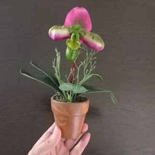 گلدان ارکیده تزیینی