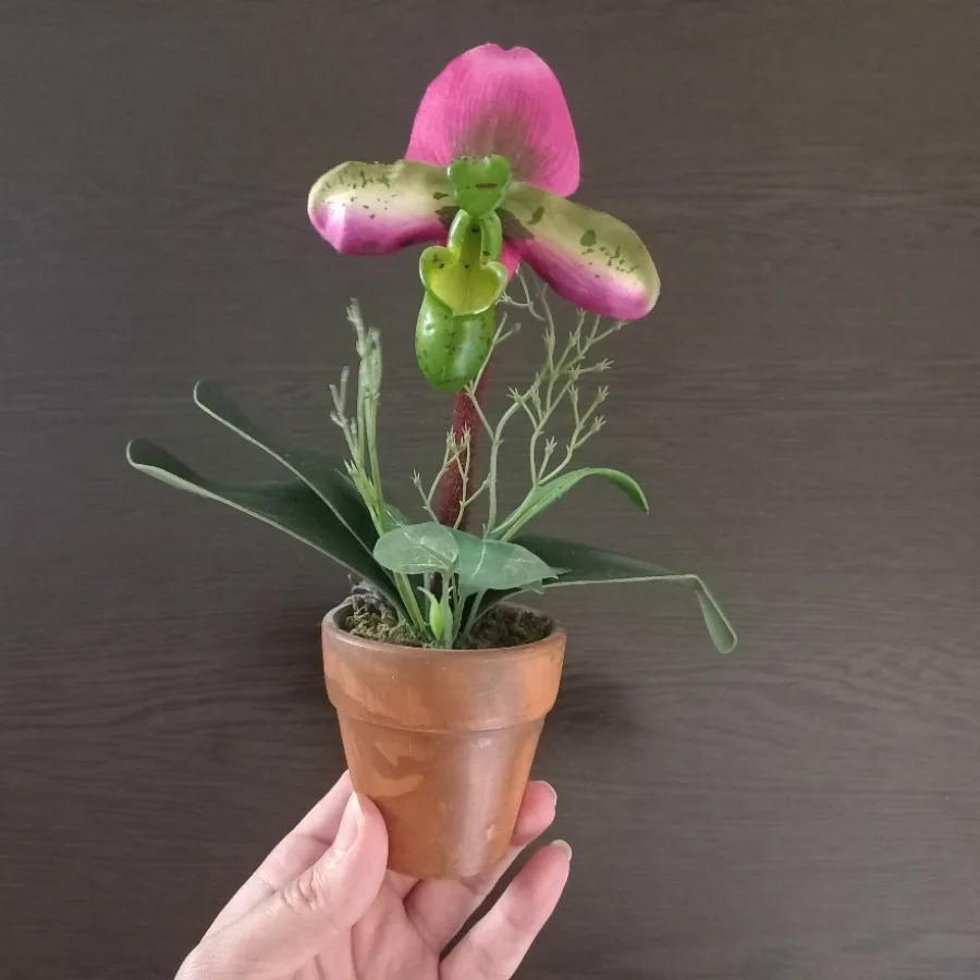 گلدان ارکیده تزیینی