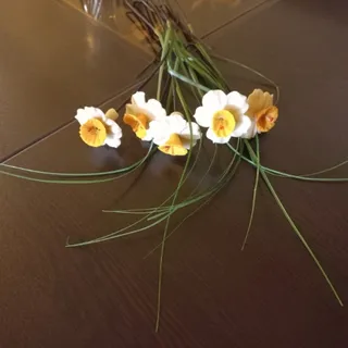 5 شاخه گل نرگس