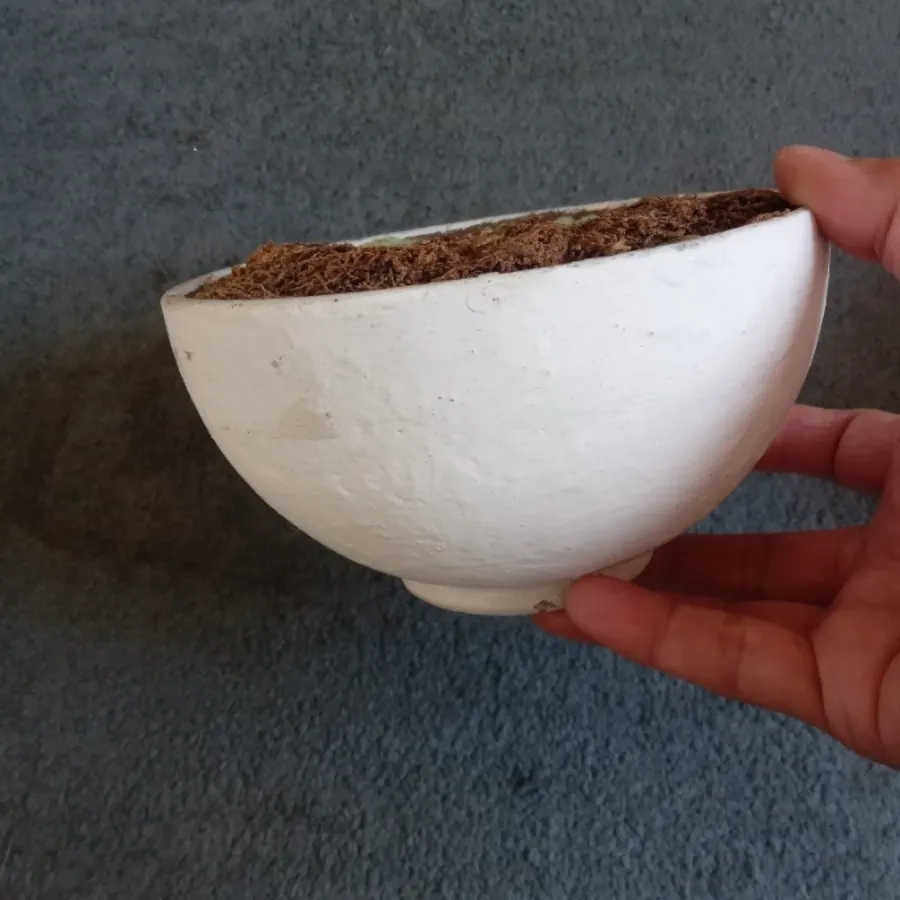 گلدان سفالی