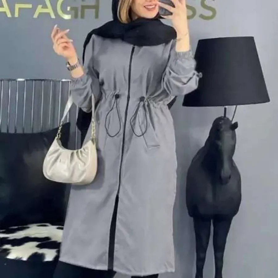 بارونی میکرو