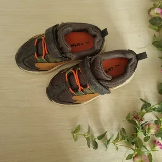 کفش کارترز