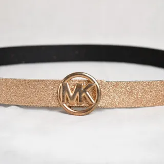 کمربند اکلیلی