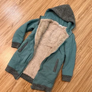 پالتو داخل تدی