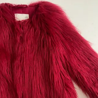 پالتو زارا Zara