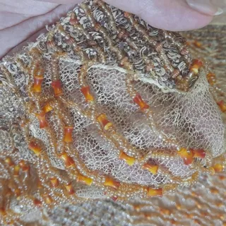 پارچه گیپور عنکبوتی