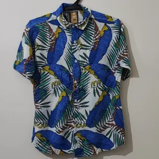 پیراهن هاوایی