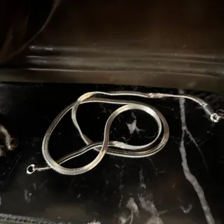 زنجیر ماری نقره ای