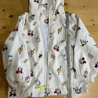 بارونی آستردار