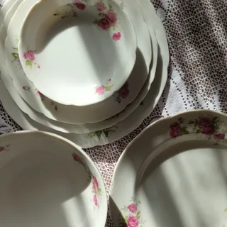 ظروف گلسرخی زیبا مسعود