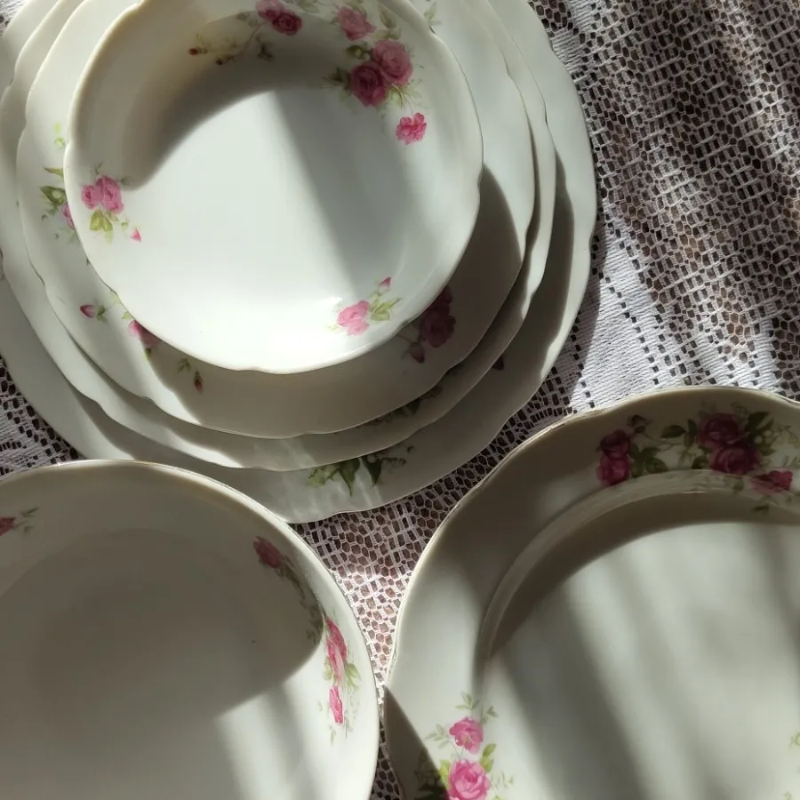 ظروف گلسرخی زیبا مسعود