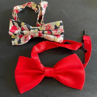 دوعدد پاپیون مجلسی