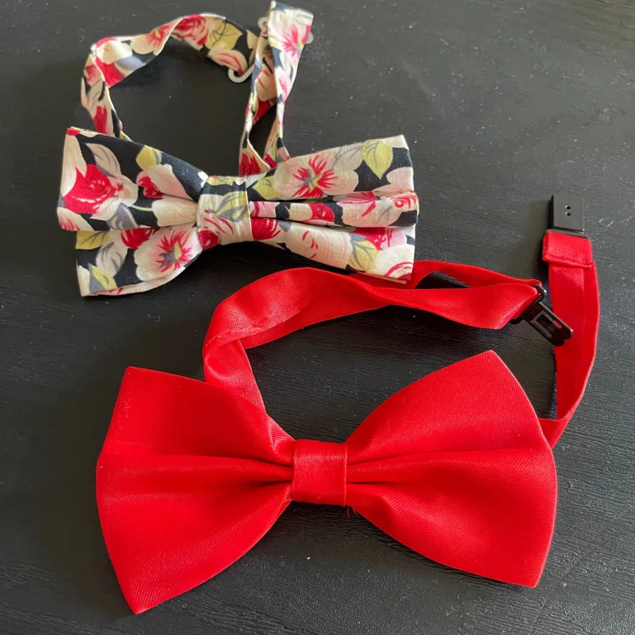 دوعدد پاپیون مجلسی