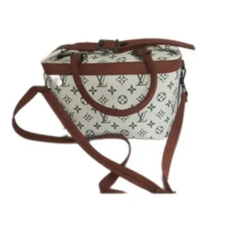 کیف لویی ویتون