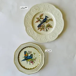 بشقاب آلمانی و انگلیسی