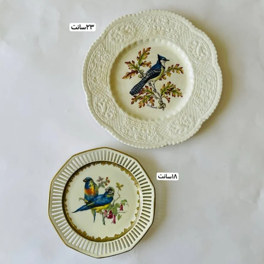 بشقاب آلمانی و انگلیسی