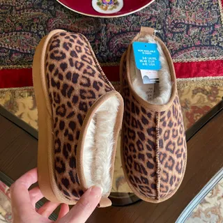 آگ پرایمارک اروپا