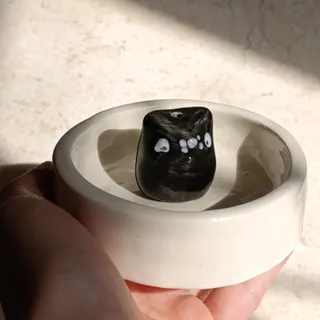 جا عودی گربه