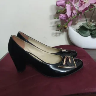 ورنی مجلسی.