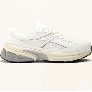 کتونی اویشو