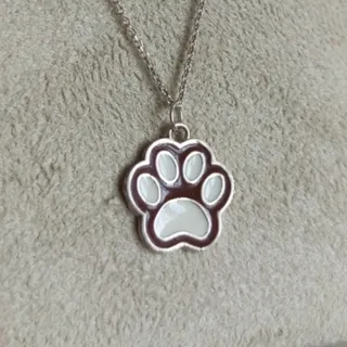 گردنبند نقره پنجه گربه