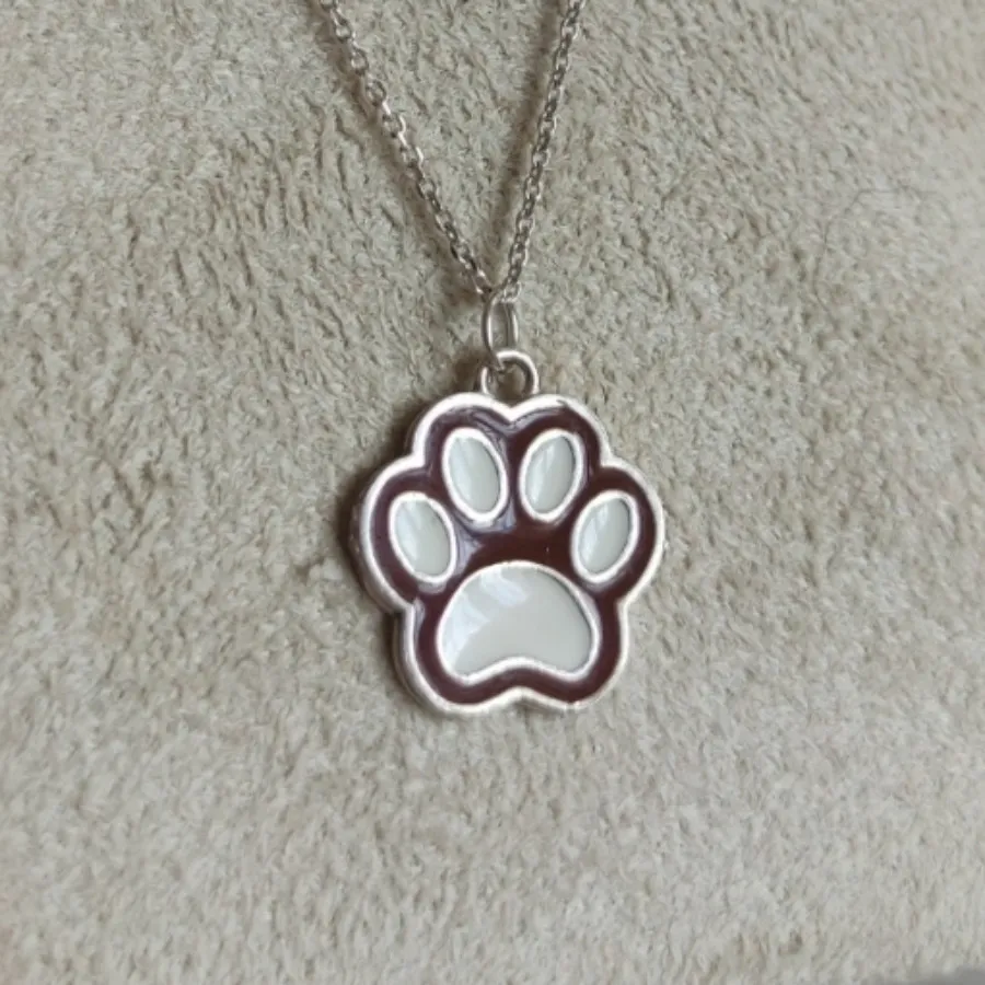 گردنبند نقره پنجه گربه