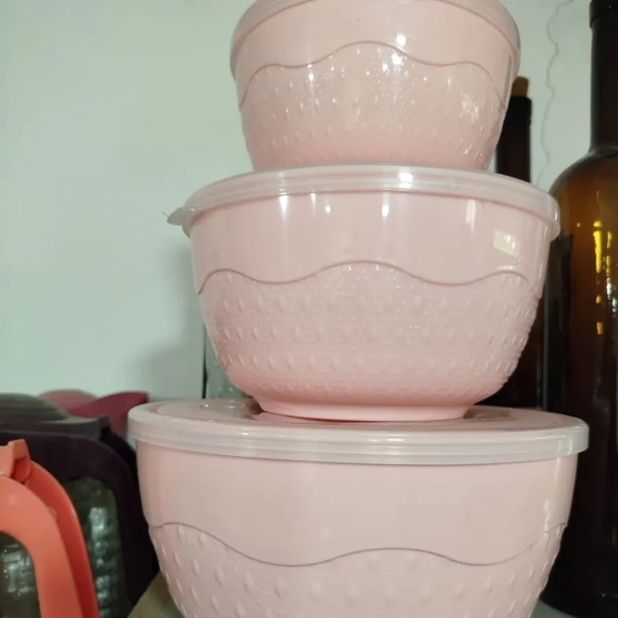 ظرف فریزری سه تایی