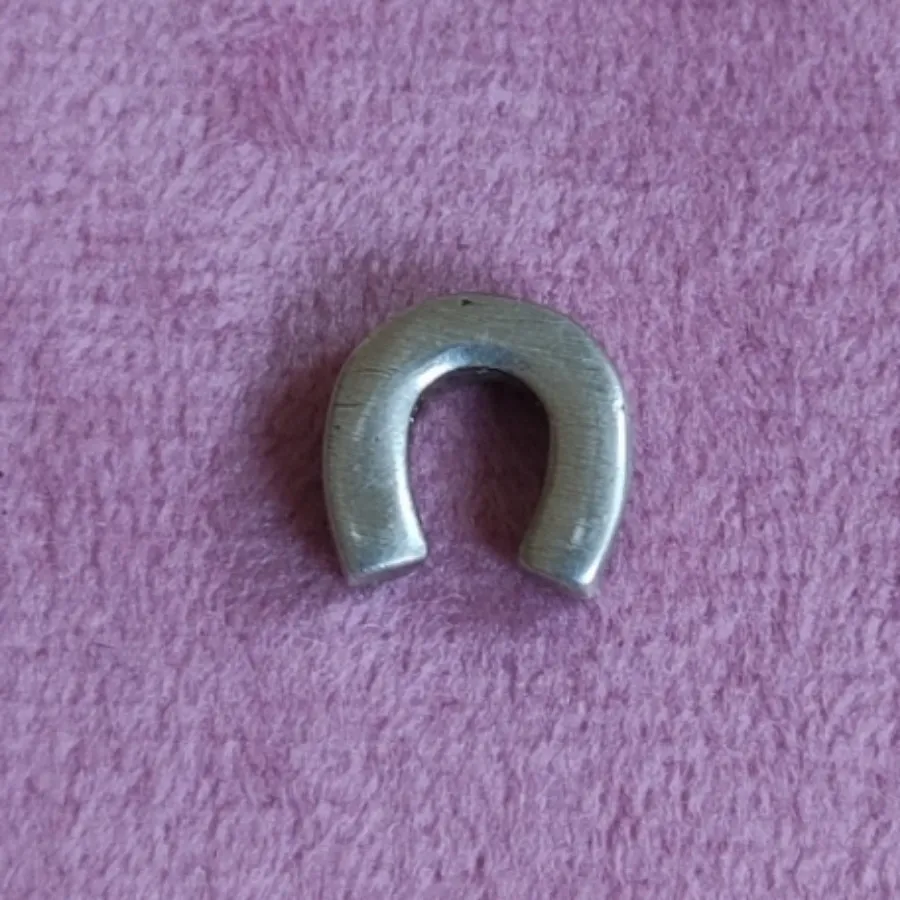 پلاک نقره نعل اسب