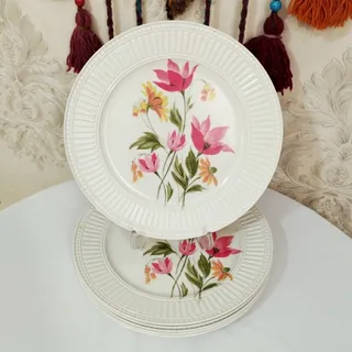 پلو خوری ملامین