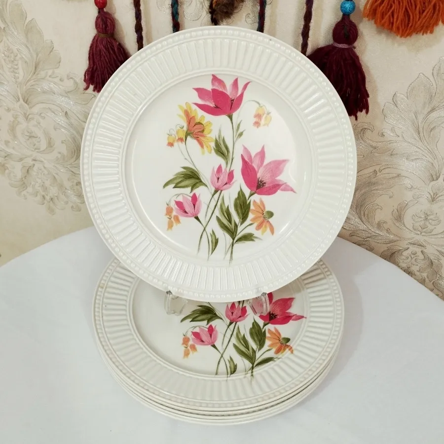 پلو خوری ملامین