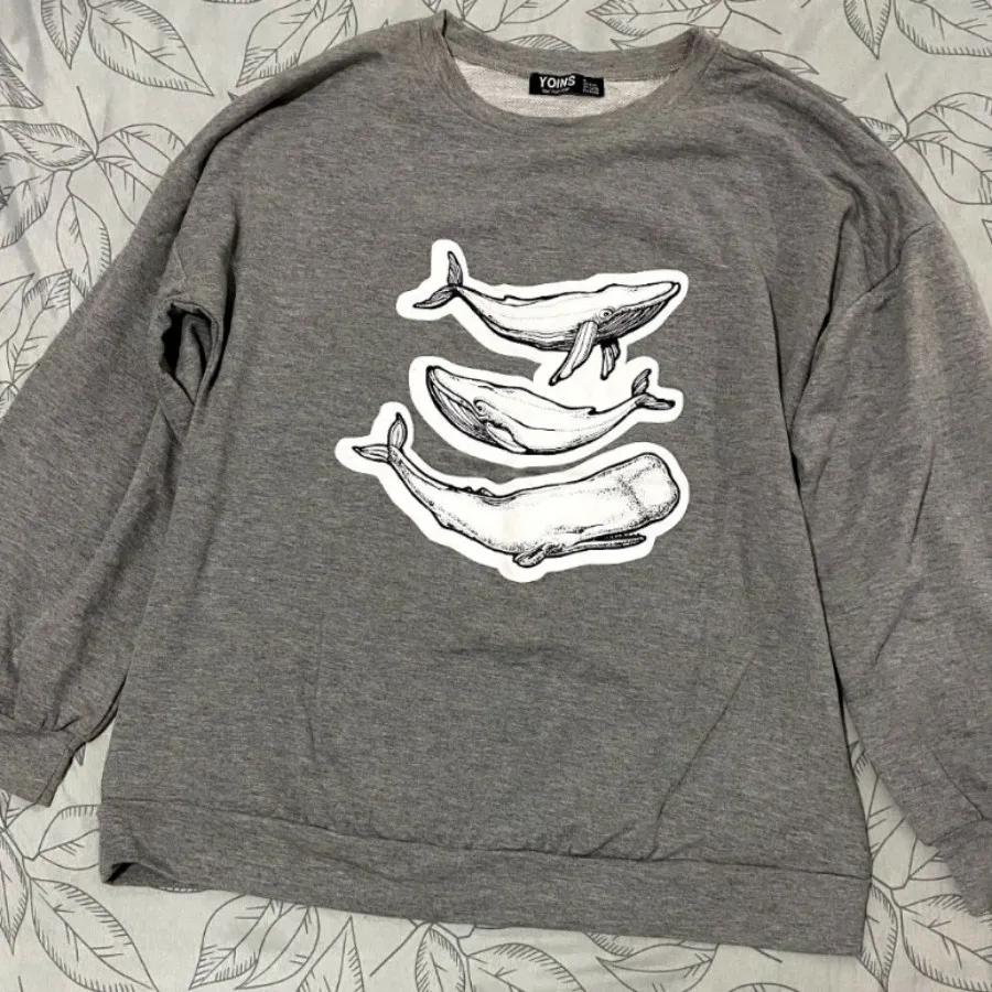 دورس وارداتی