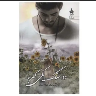 رمان دو سنگ یکی کهربا