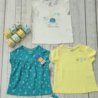 پک 3تایی تیشرت نخی لوپیلو