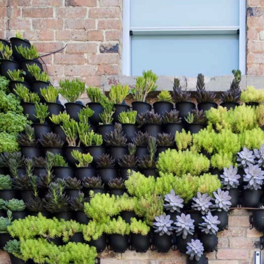 گلدان دیوار سبز