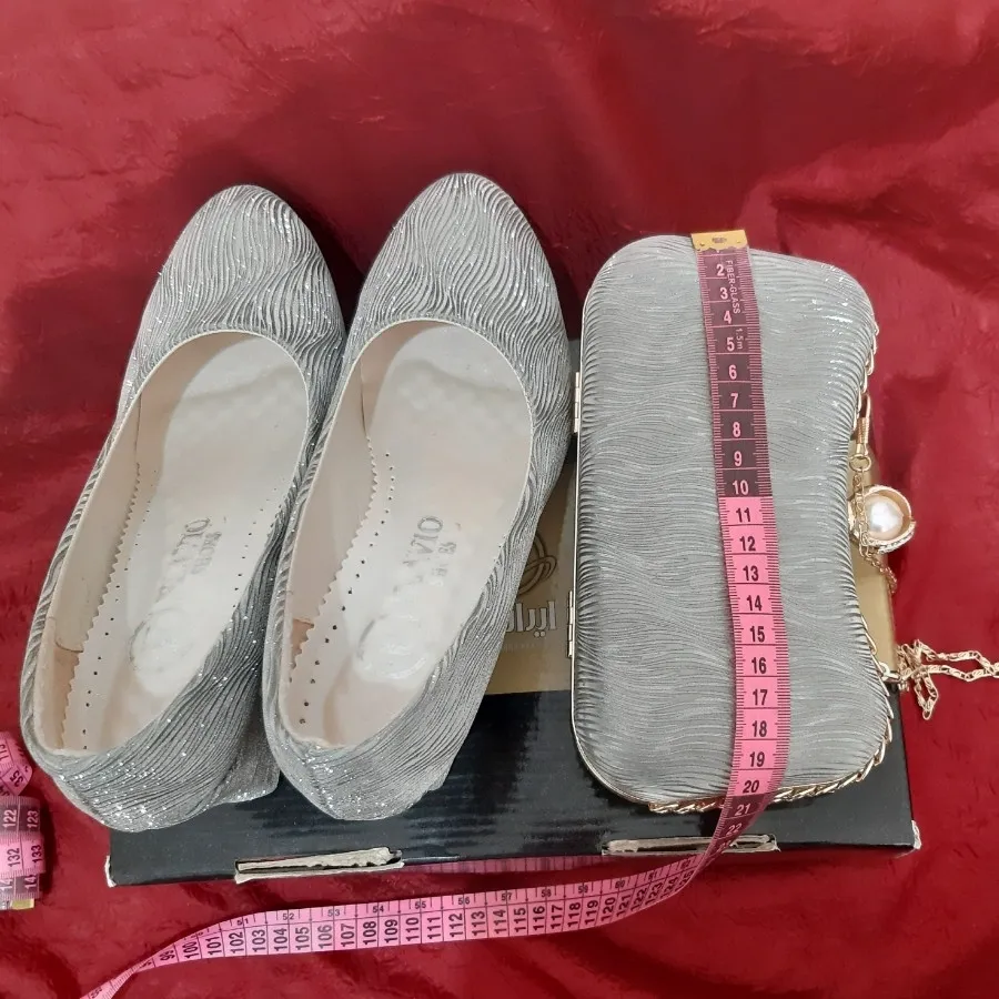 کیف و کفش مجلسی