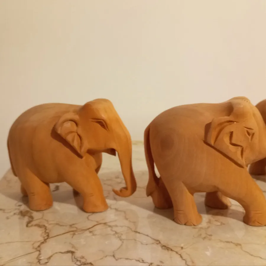 مجسمه های فیل چوبی هندی