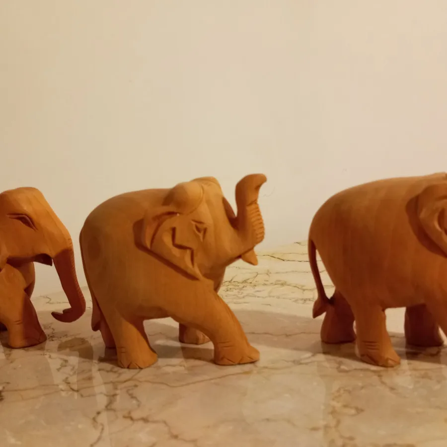 مجسمه های فیل چوبی هندی