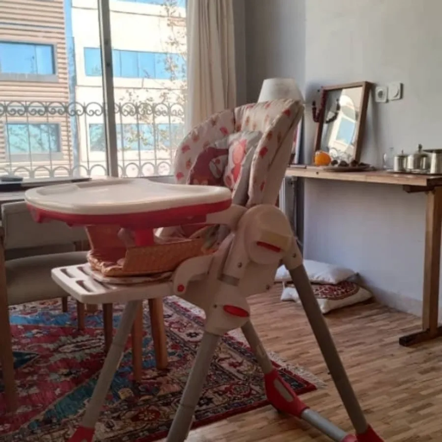 صندلی غذای کودک برند چیکو