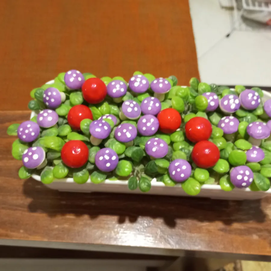 گلدان قارچ و گوجه فرنگی