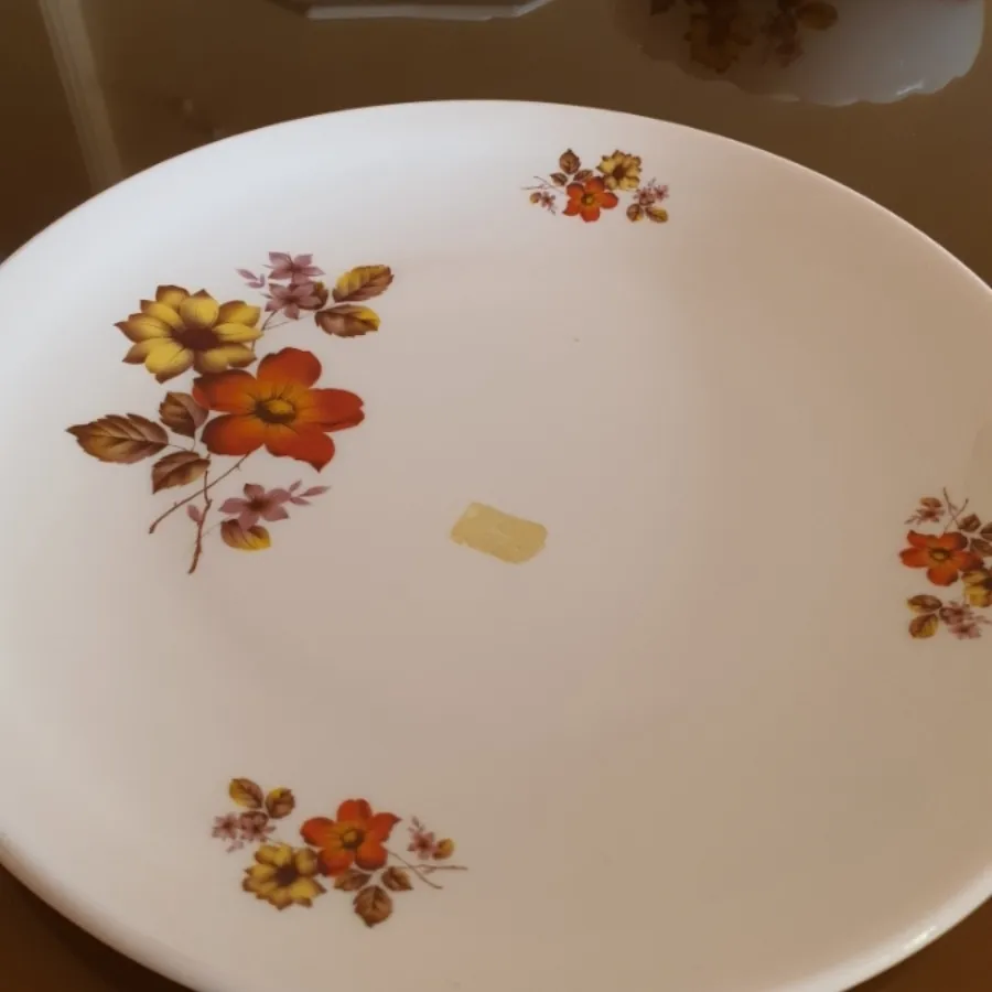 ست آرکوپال پخت و پز و سرو