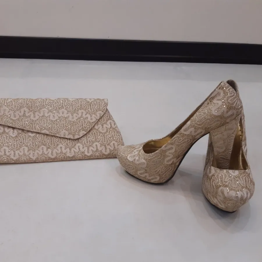 کیف کفش مجلسی