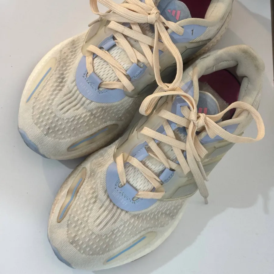 کتونی ویتنام